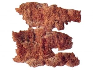 バシャダル絨毯